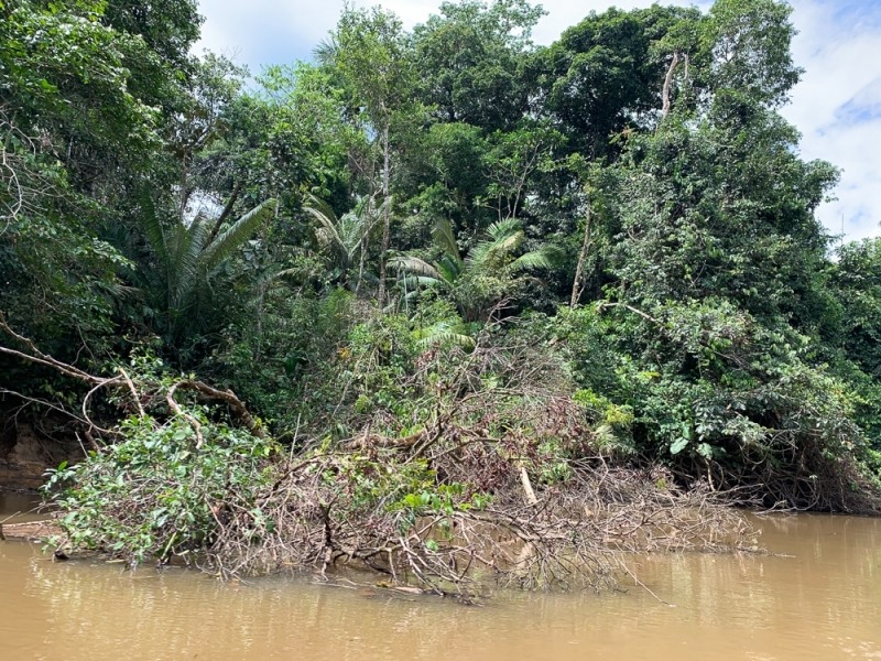 Cuyabeno-Flussfahrt