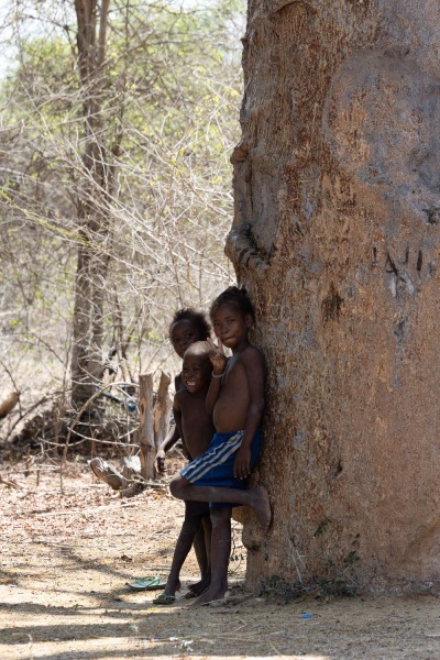 Baobab-Kinder