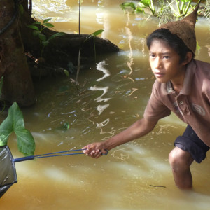 JBL Venezuela Junge am Fischen 1