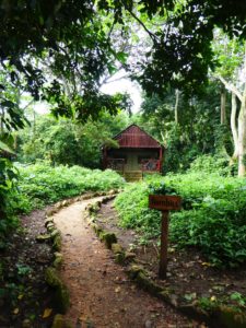 Kibale Forest Camp
