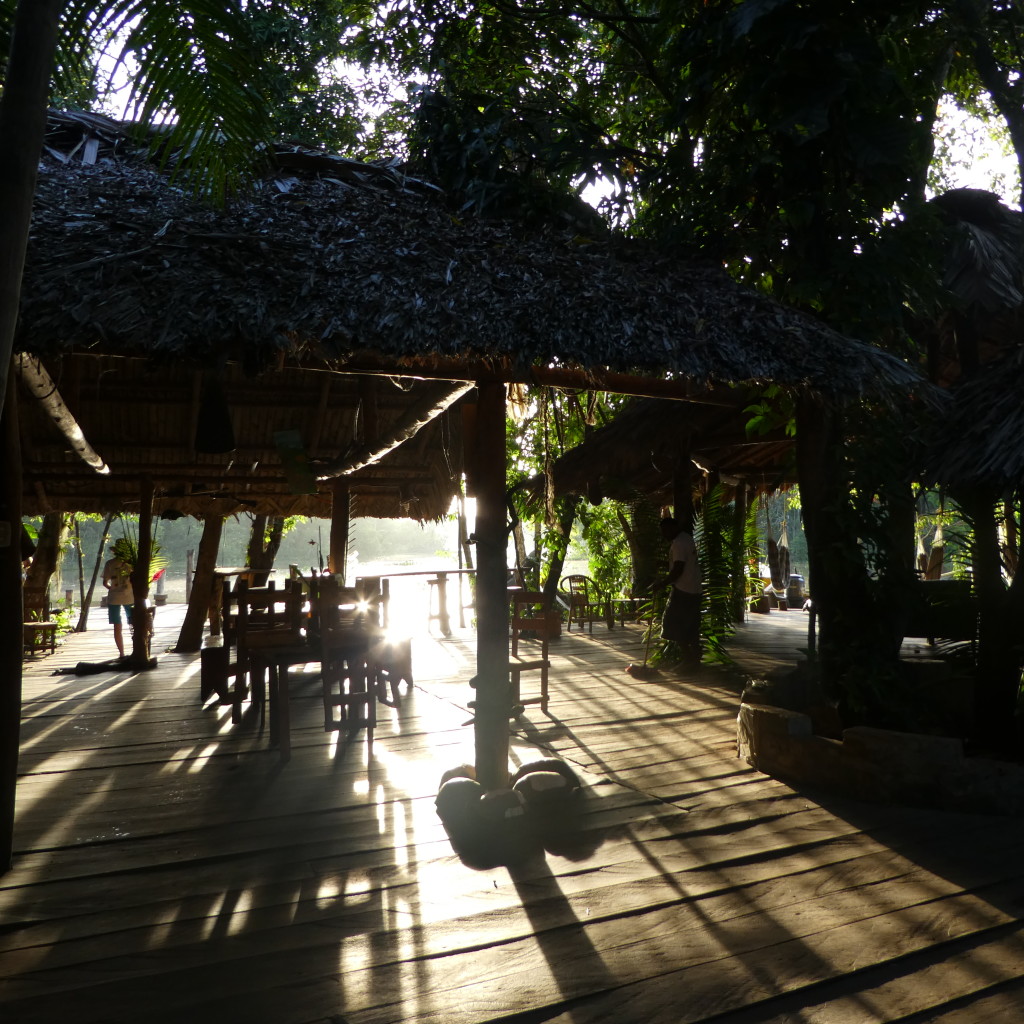 Eco Dschungel Camp - Foyer