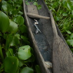 Boot eines Warao-Indianders