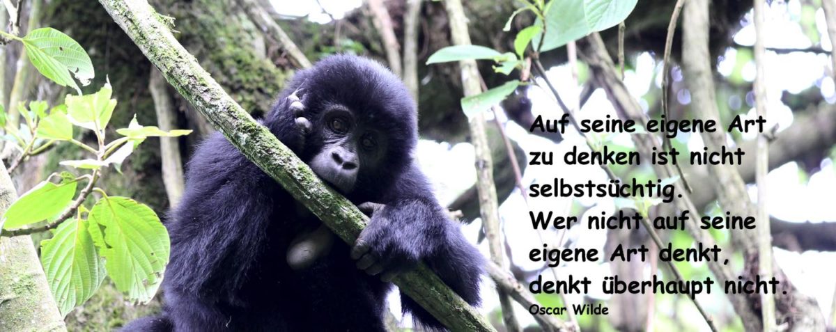 Reiseblog – Naturerlebnis Uganda – 13.09. – Bwindi – Gorillatrecking