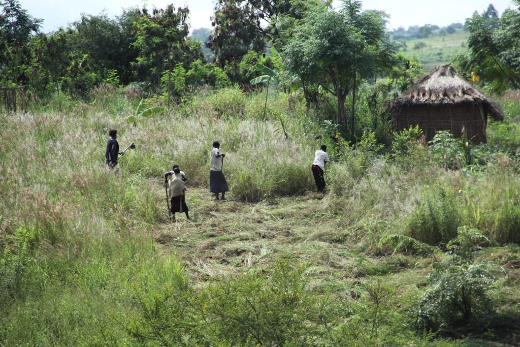 Uganda Bauern
